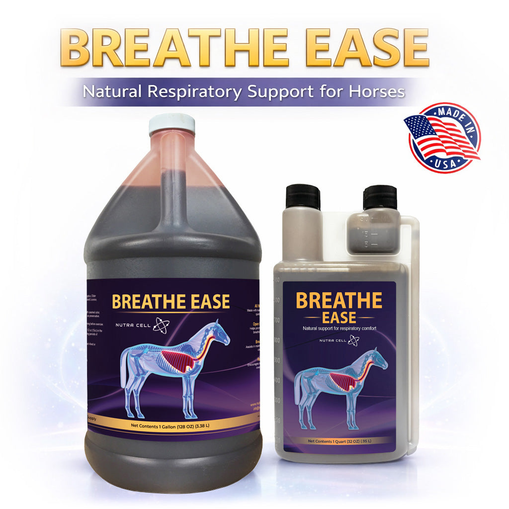 Museau De Pâturage Easy Breathe Pour Poney - Noir, Neuf, Marque JT International