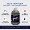 Nu-Step Flex