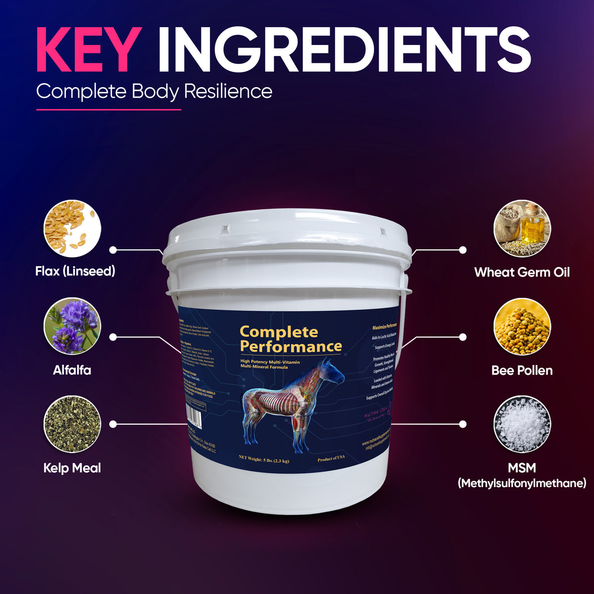 Modern Complete Powder Complete Performance Powder – Nutra Cell