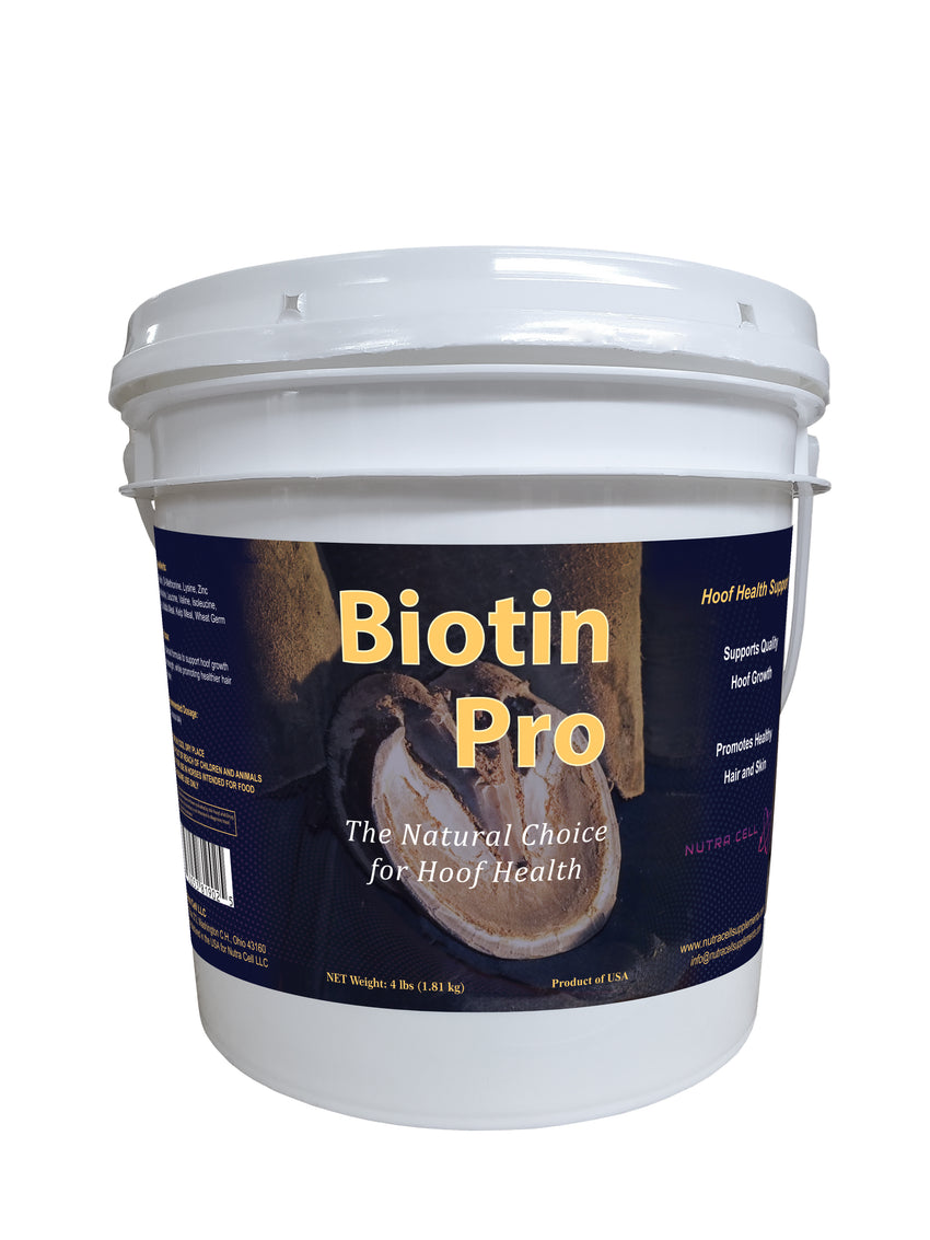 Biotin Pro horse supplement by Nutra Cell for healthy hooves, skin, and coat condition in horses