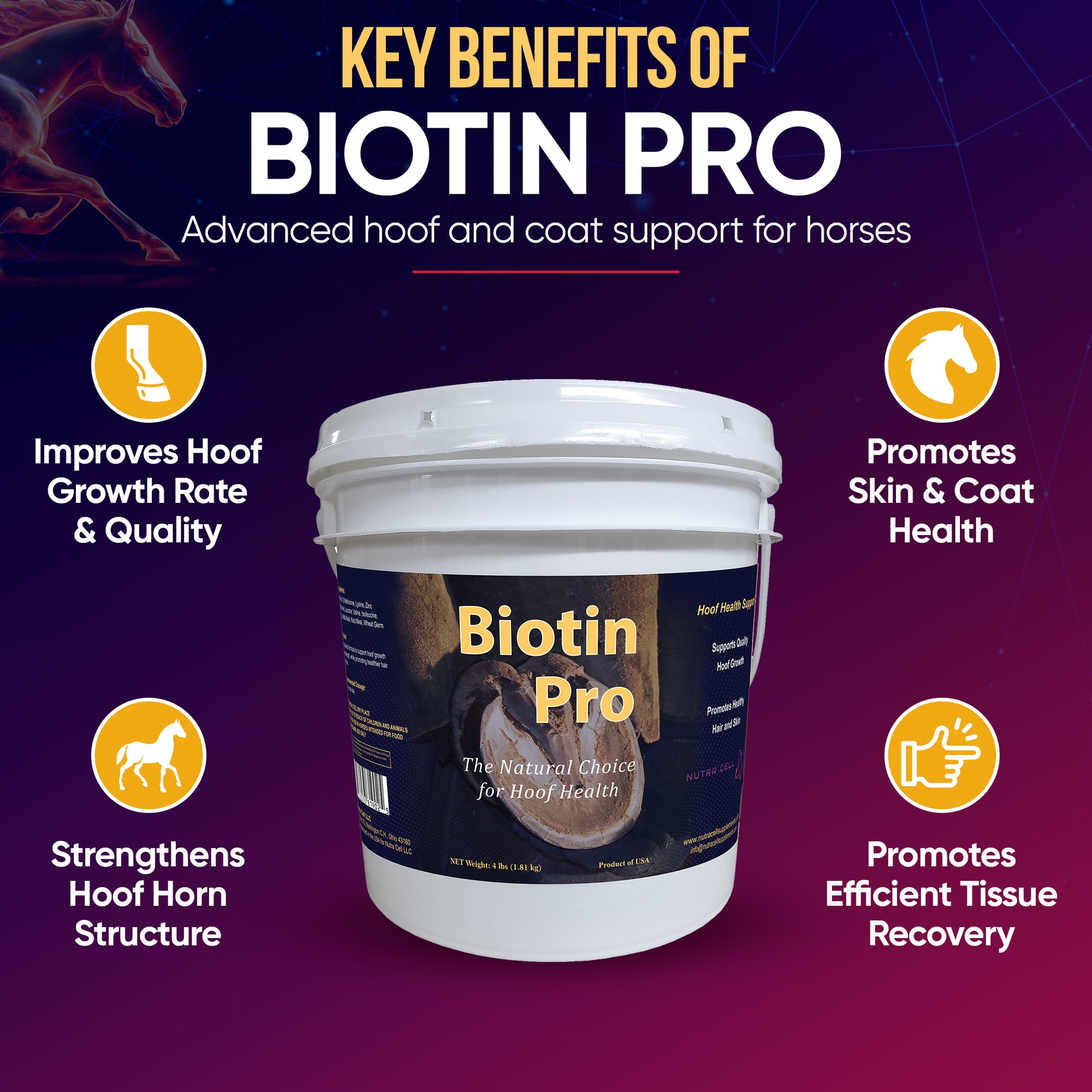 Nutra Cell Biotin Pro infographic highlighting key benefits: enhanced hoof quality and growth, strengthened hoof structure, and coat support.
