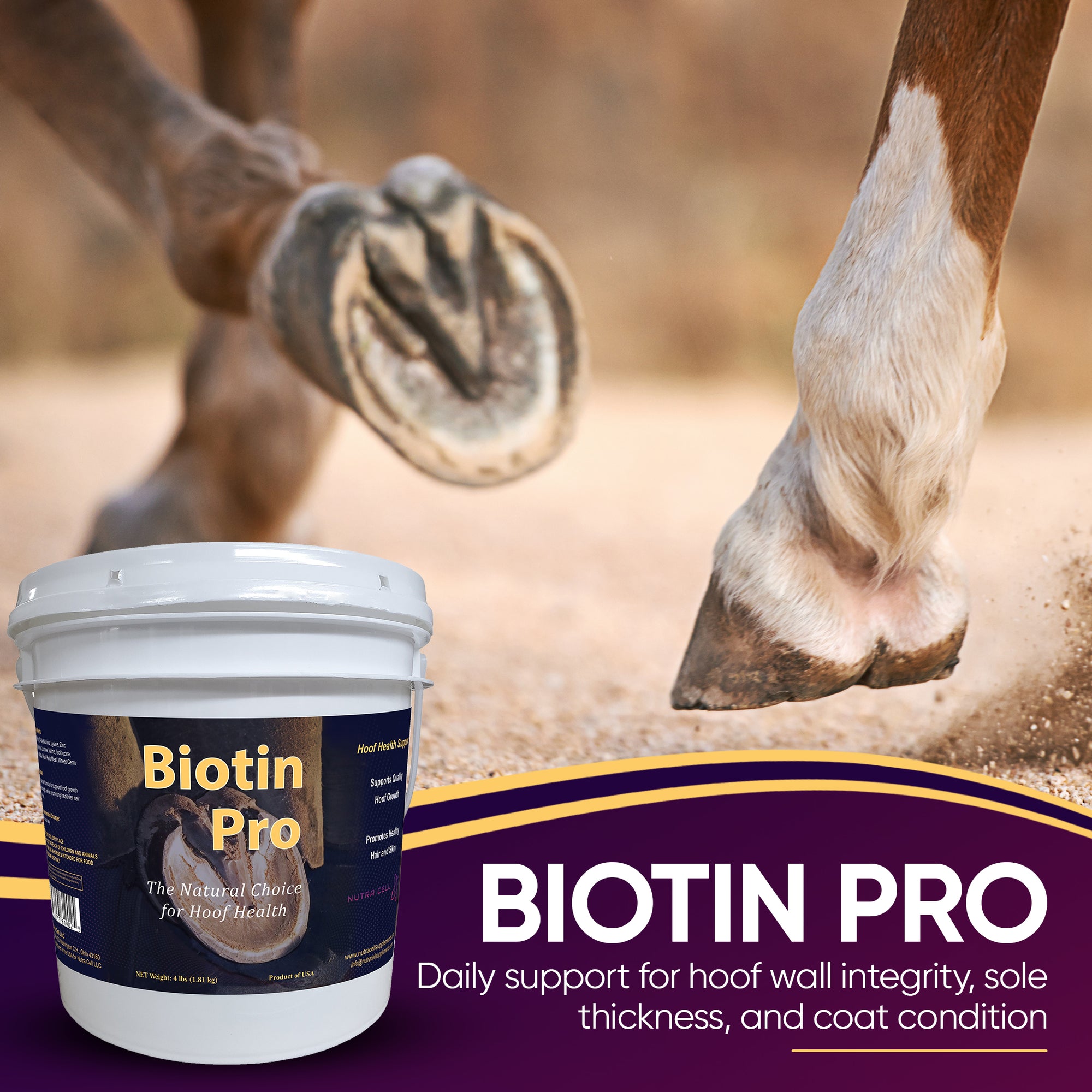 Biotin Pro supplement for horse hooves with a close-up of a horse's hoof.