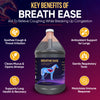 nfographic of Nutra Cell Breathe Ease equine supplement key benefits – supports respiratory health, boosts lung function, strengthens immunity, and promotes clear airways in horses.