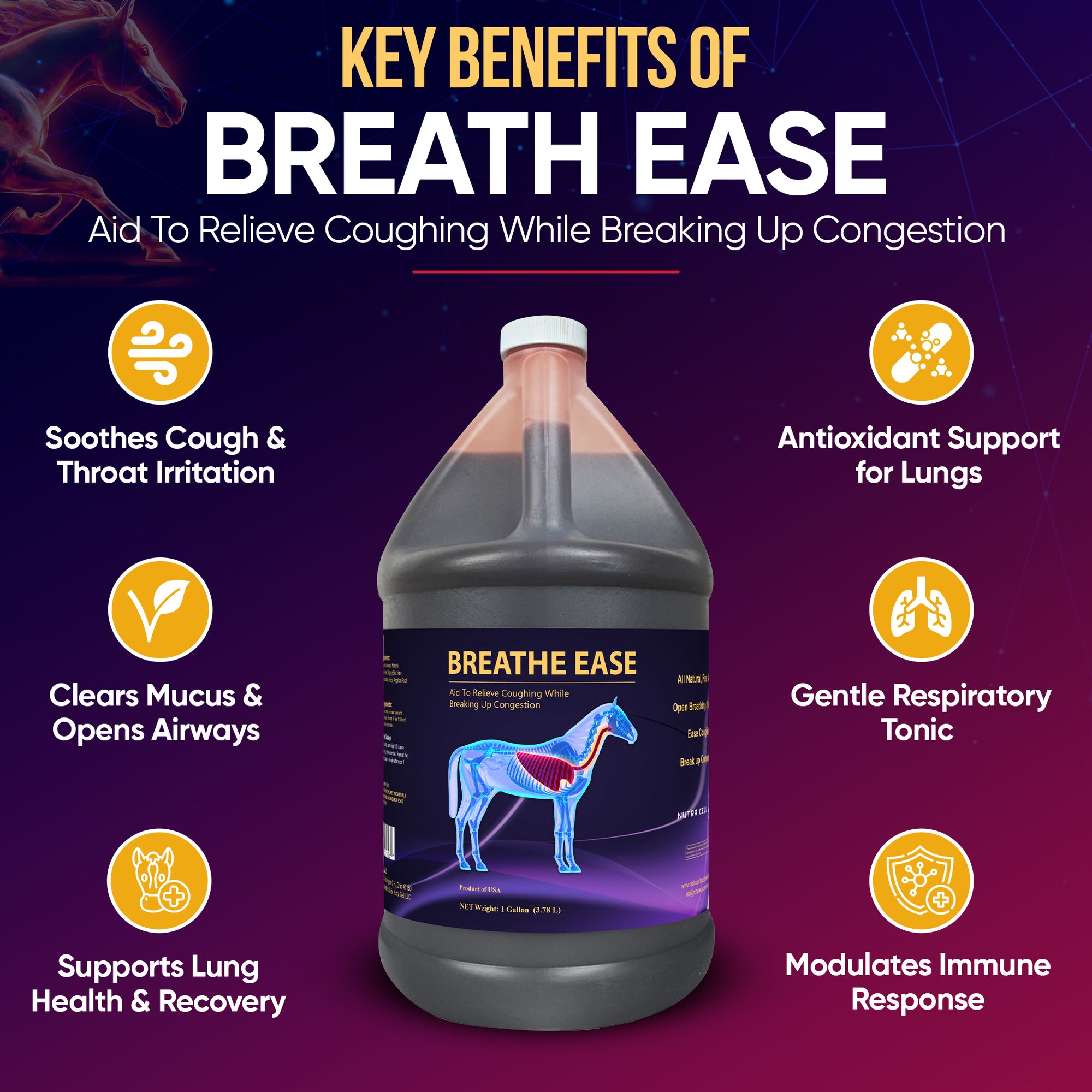 nfographic of Nutra Cell Breathe Ease equine supplement key benefits – supports respiratory health, boosts lung function, strengthens immunity, and promotes clear airways in horses.