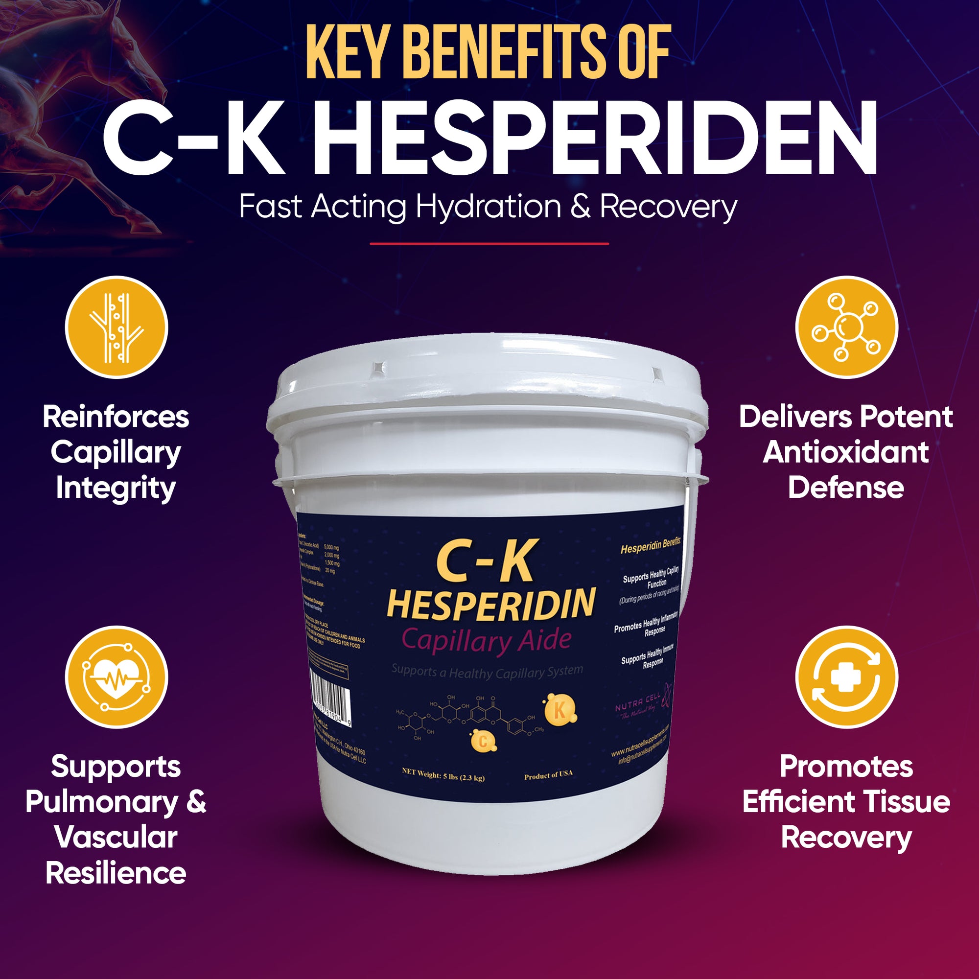 Infographic of Nutra Cell C-K Hesperidin equine supplement key benefits – supports healthy circulation, strengthens capillaries, and promotes faster recovery in horses.