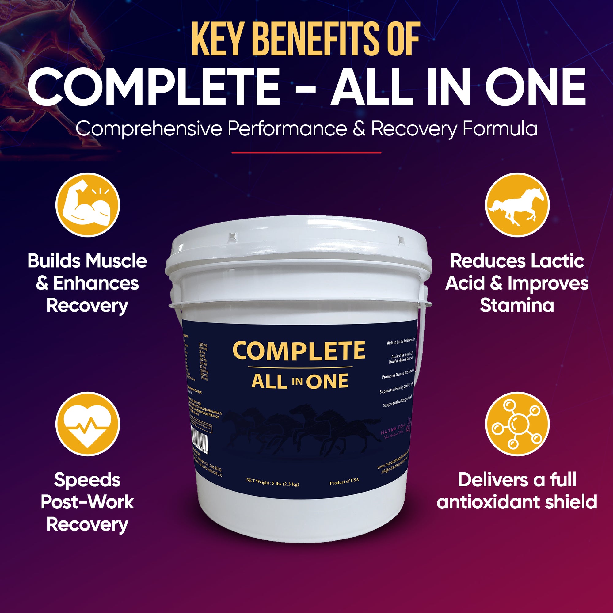 Infographic of Nutra Cell Complete All-In-One equine supplement key benefits – supports overall health, muscle recovery, joint strength, digestive balance, and immune function in horses.
