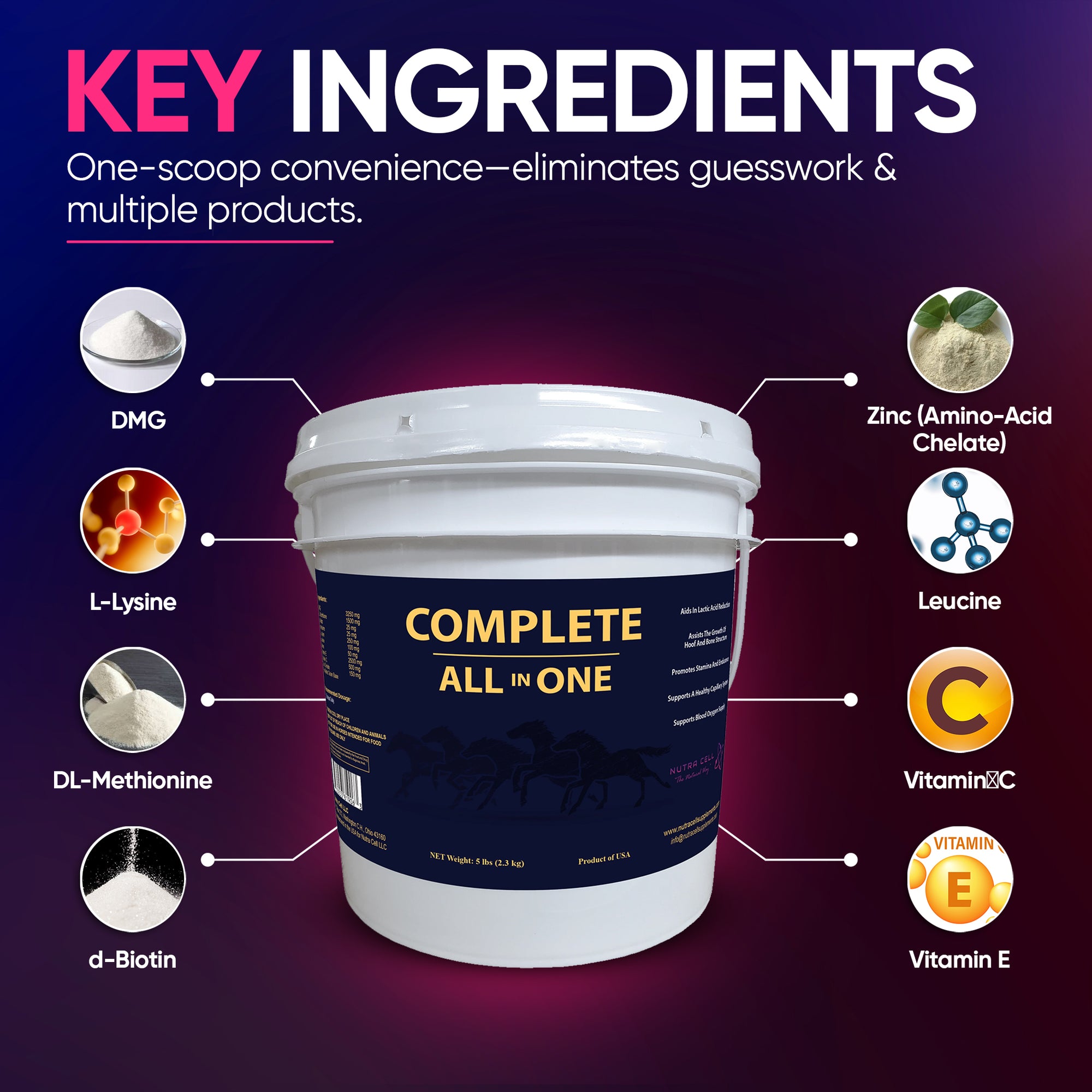 Infographic of Nutra Cell Complete All In One equine supplement key ingredients – amino acids, electrolytes, vitamins, minerals, probiotics, and antioxidants – supporting performance, recovery, and total horse health.