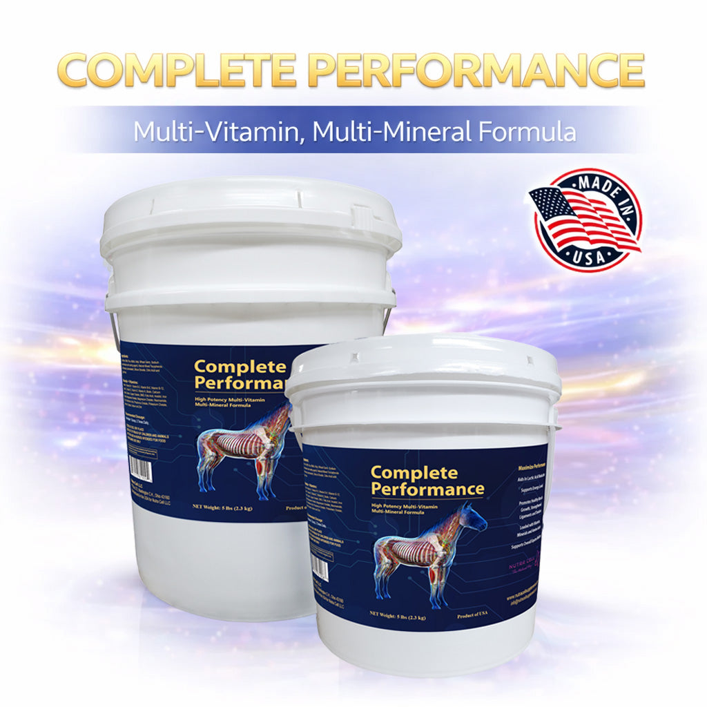 Complete Performance Powder