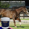 Creatine Complex