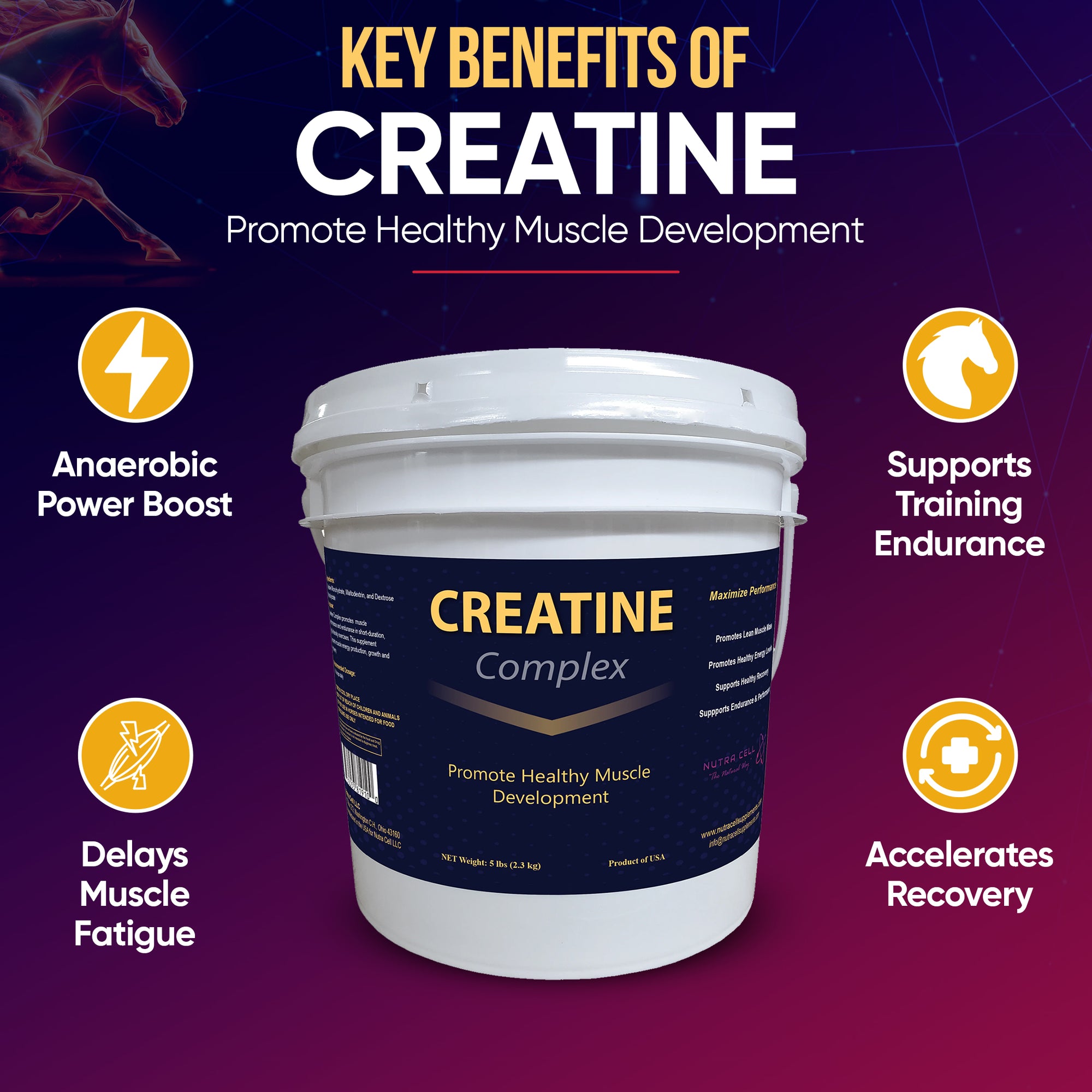 Infographic of Nutra Cell Creatine Complex equine supplement key benefits – boosts power and endurance, enhances recovery, and delays muscle fatigue in horses.