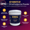DMG