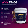 DMG