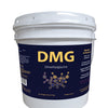 DMG horse supplement by Nutra Cell for horse endurance, metabolic support, and lactic acid reduction