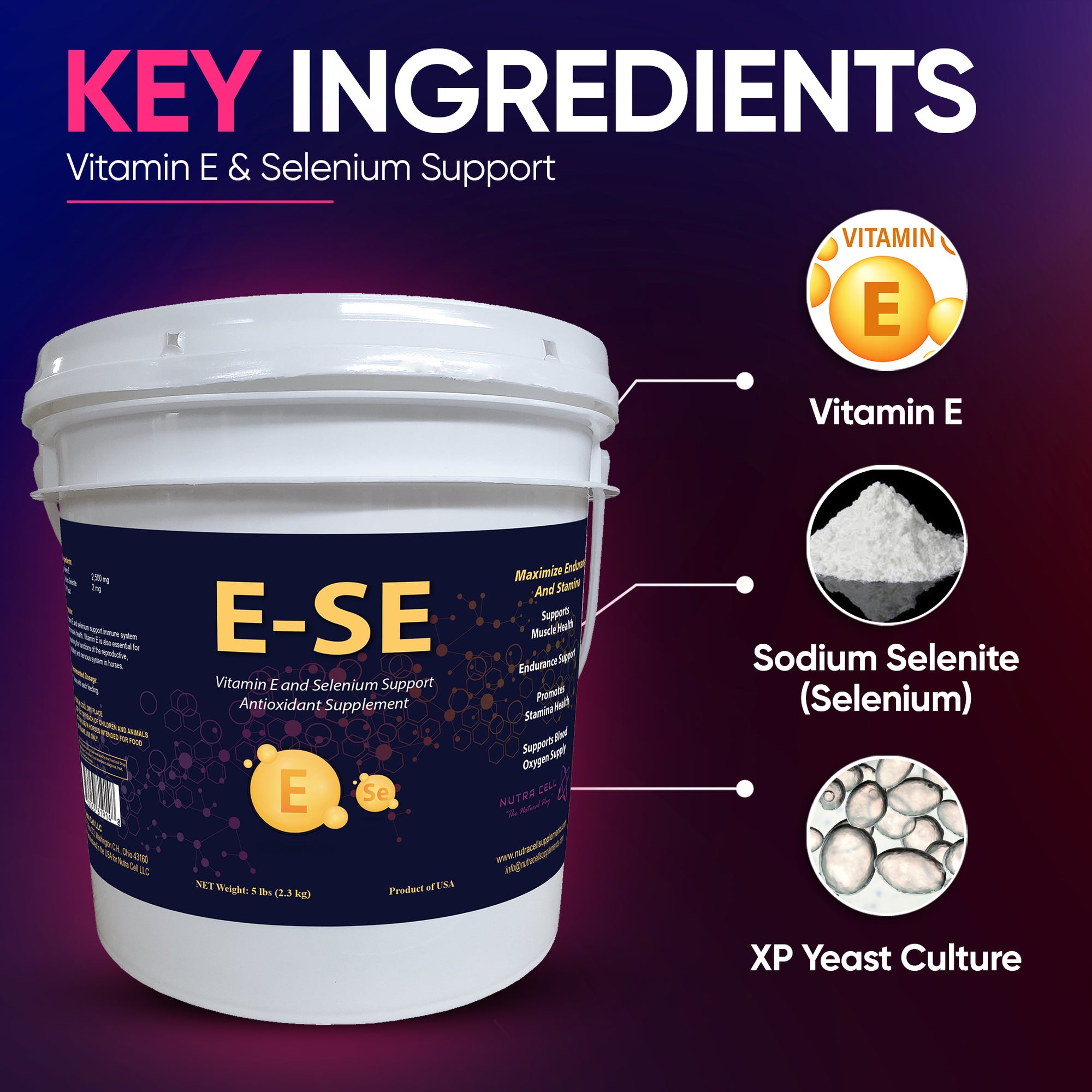 Nutra Cell E-SE infographic of key ingredients – Vitamin, Selenium, and XP Yeast – promoting muscle repair and antioxidant protection.