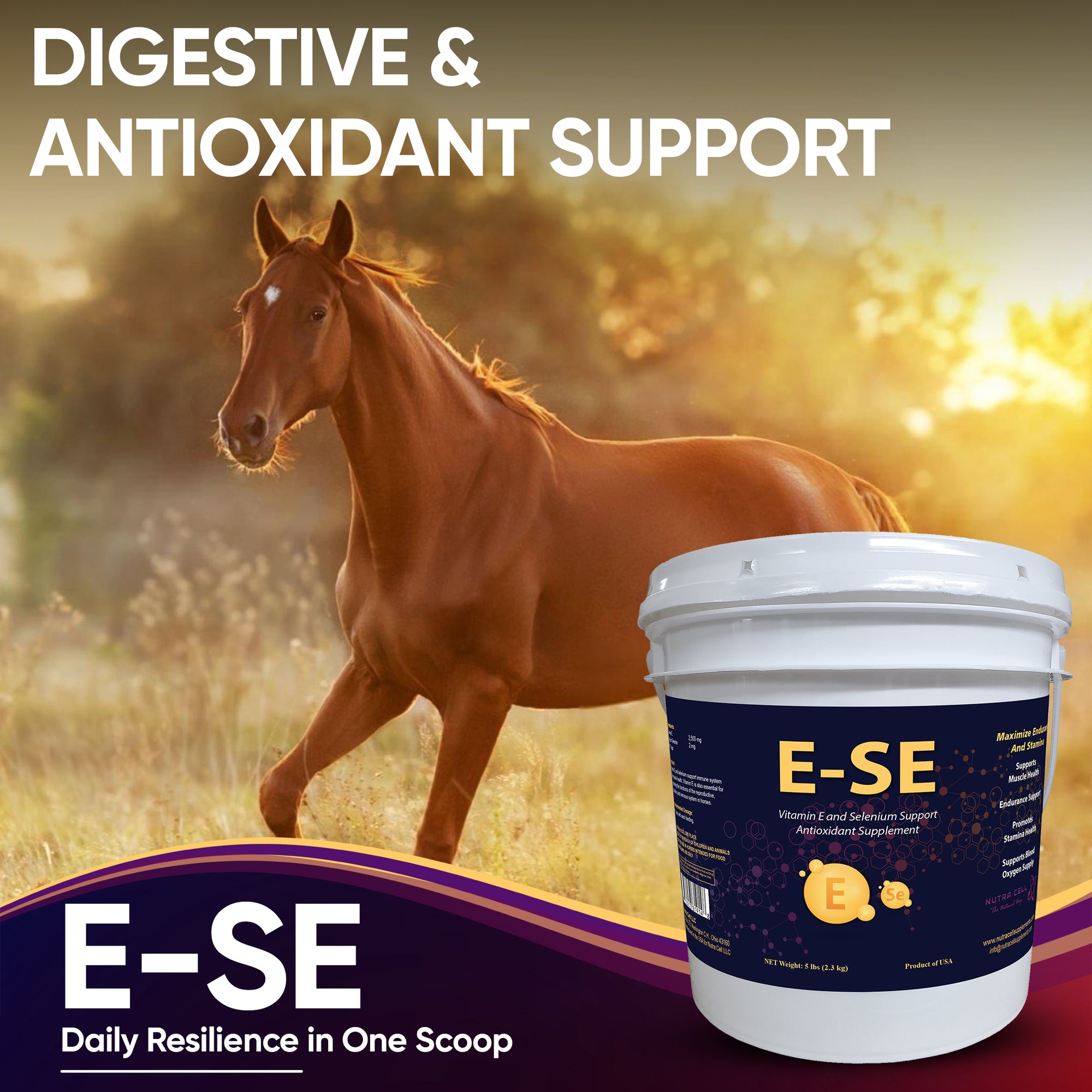 E-SE supplement container with a horse in the background, emphasizing digestive and antioxidant support.
