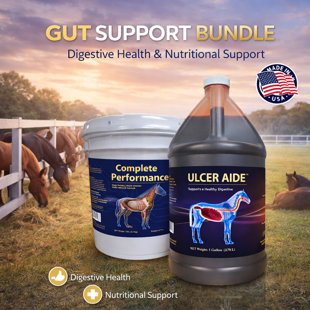 Gut Support Bundle