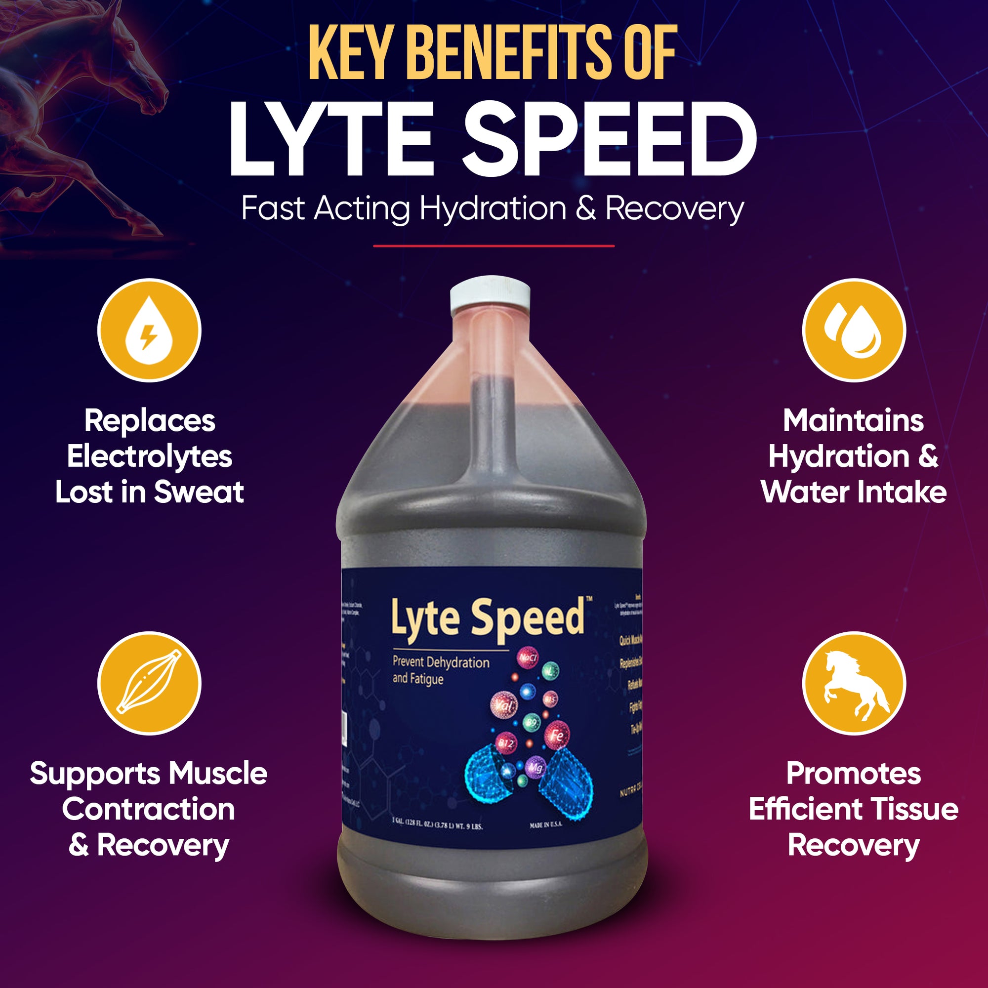 Infographic of Nutra Cell Lyte Speed equine supplement key benefits – replenishes electrolytes, supports hydration, reduces muscle fatigue, and promotes faster recovery in horses.