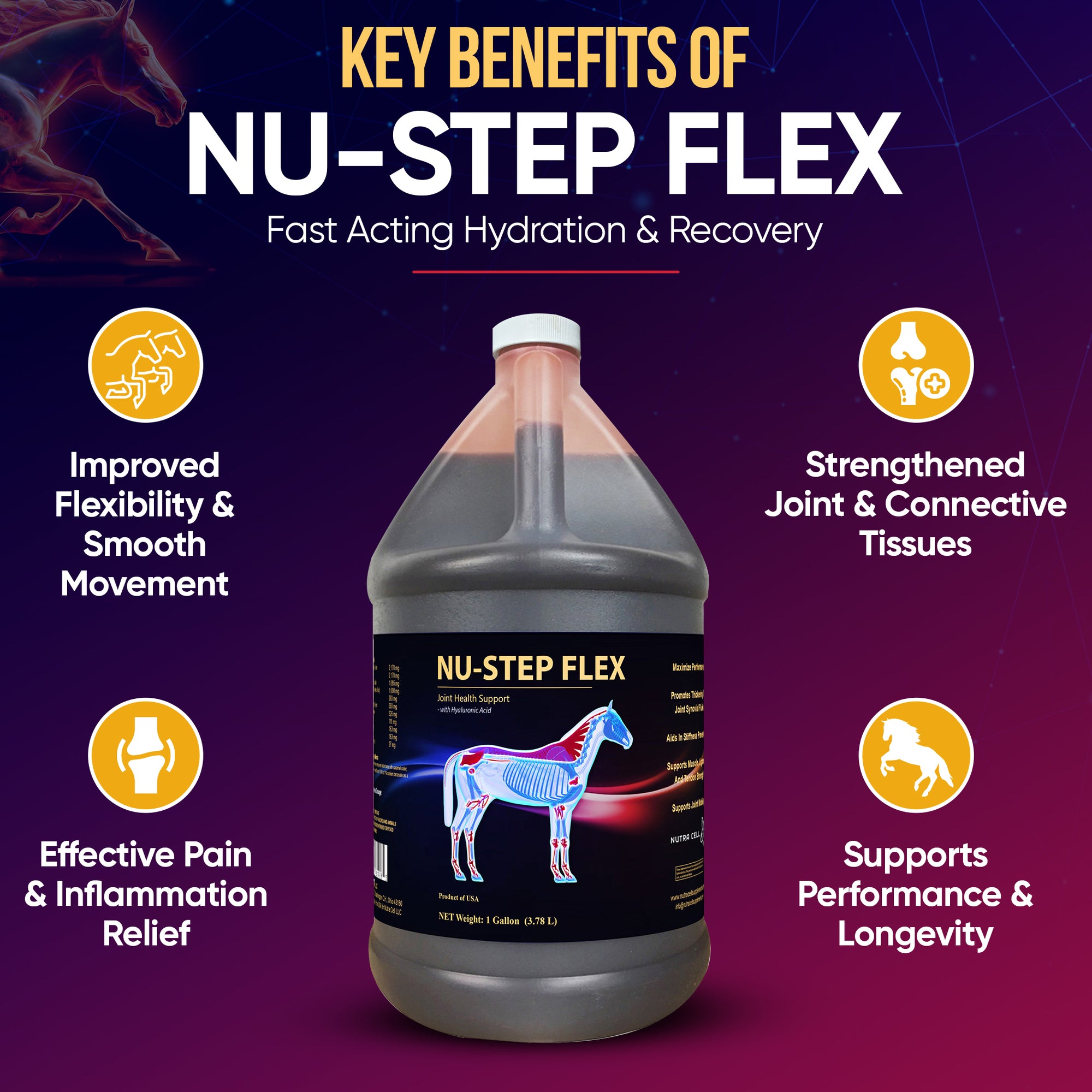 Infographic of Nutra Cell Nu-Step Flex equine supplement key benefits – supports joint mobility, reduces inflammation, protects cartilage, and promotes long-term soundness in horses.
