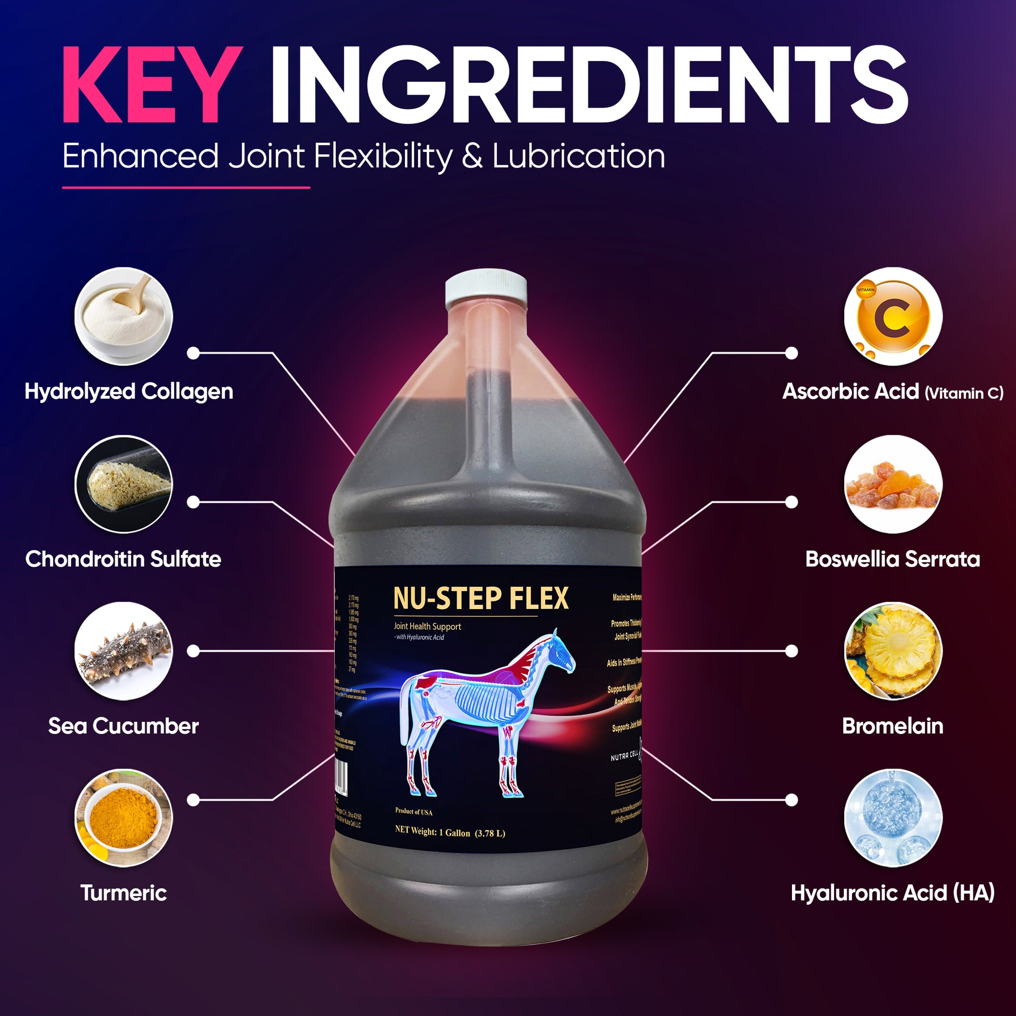 Infographic of Nutra Cell Nu-Step Flex equine supplement key ingredients – Glucosamine, Chondroitin, MSM, Hyaluronic Acid, and Collagen – supporting joint health, mobility, and cartilage protection in horses.