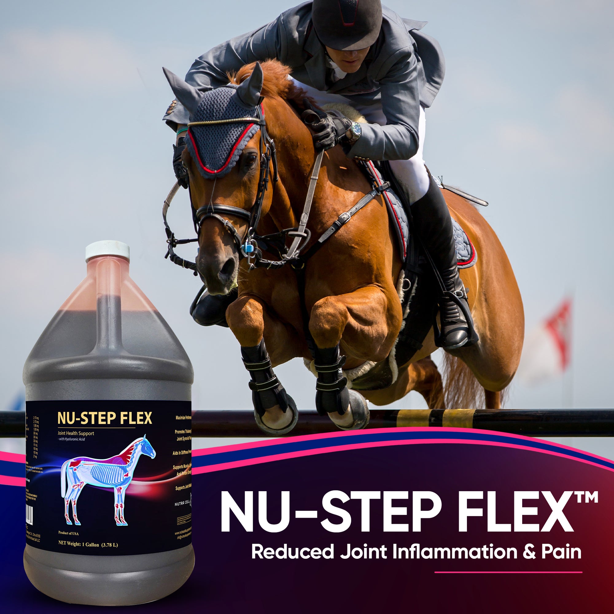 Horse and rider jumping to show the joint benefits of the horse supplement Nu-Step Flex.