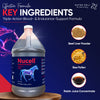 Nucell™