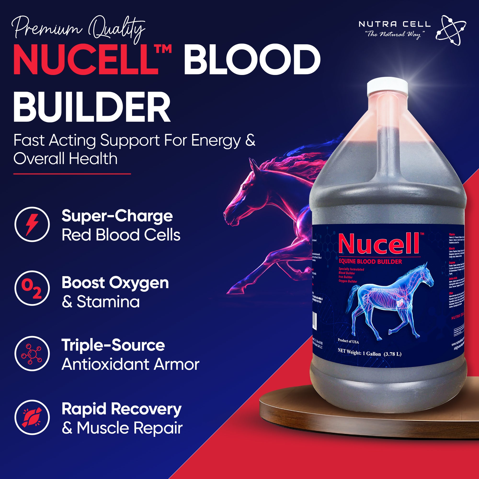 Infographic of Nutra Cell Nucell equine supplement key benefits – builds red blood cells, boosts oxygen delivery, enhances stamina, speeds recovery, and protects against oxidative stress in horses.