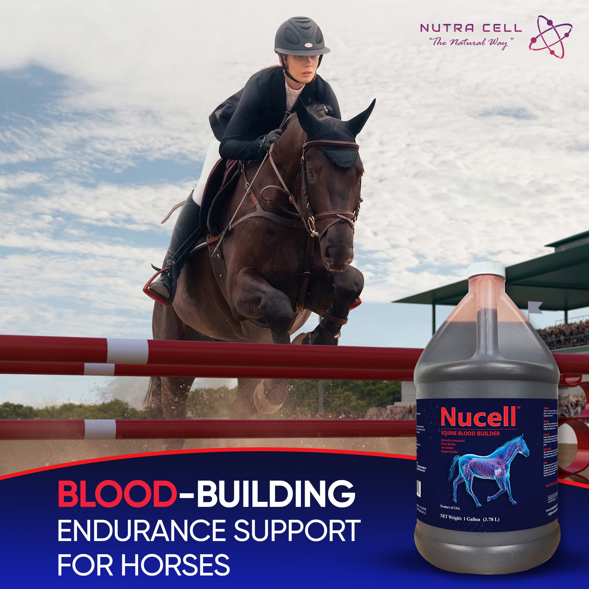 Nucell horse supplement with a horse and rider in the background showing endurance support.