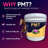 PMT - Pure Milk Thistle