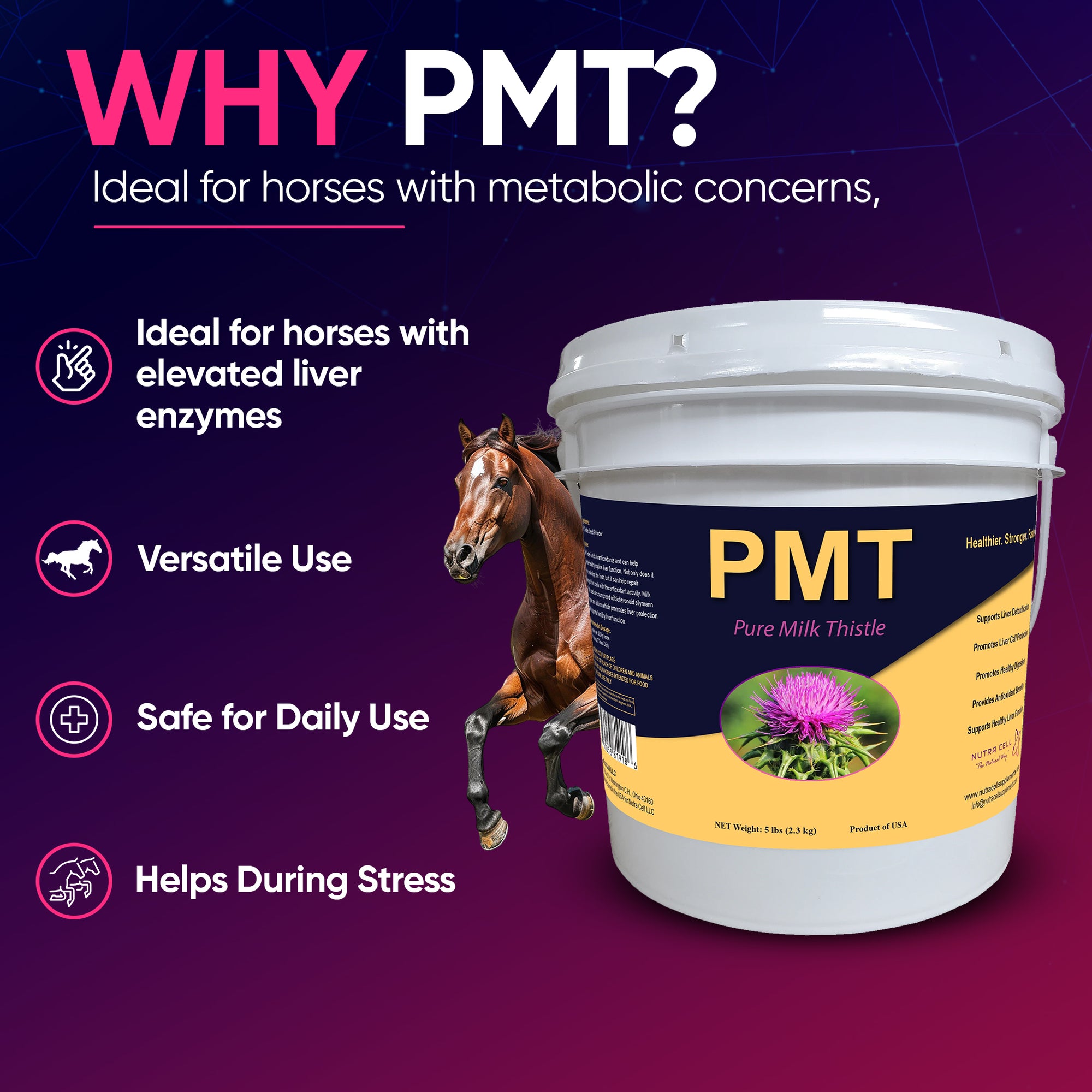 Horse supplement infographic – PMT Pure Milk Thistle showing benefits for liver support for horses.
