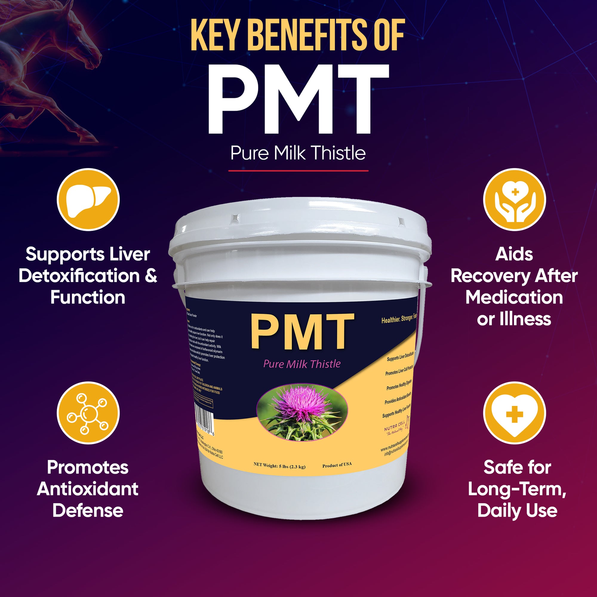 Infographic of Nutra Cell PMT Pure Milk Thistle equine supplement key benefits – supports liver detoxification, protects cells from oxidative stress, aids recovery, and promotes overall horse health.