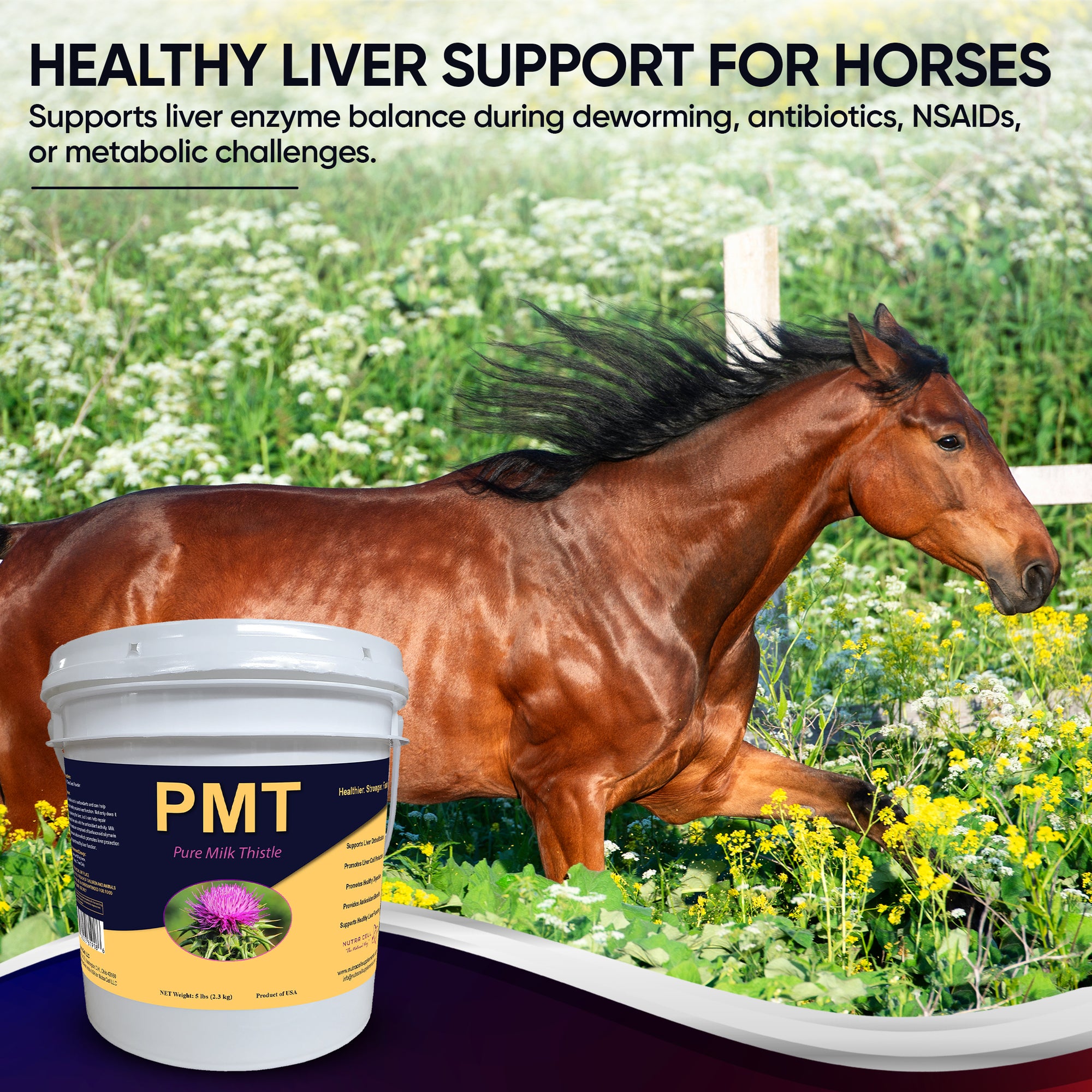 Nutra Cell PMT Pure Milk Thistle image showing a healthy horse in a few and highlighting liver support.