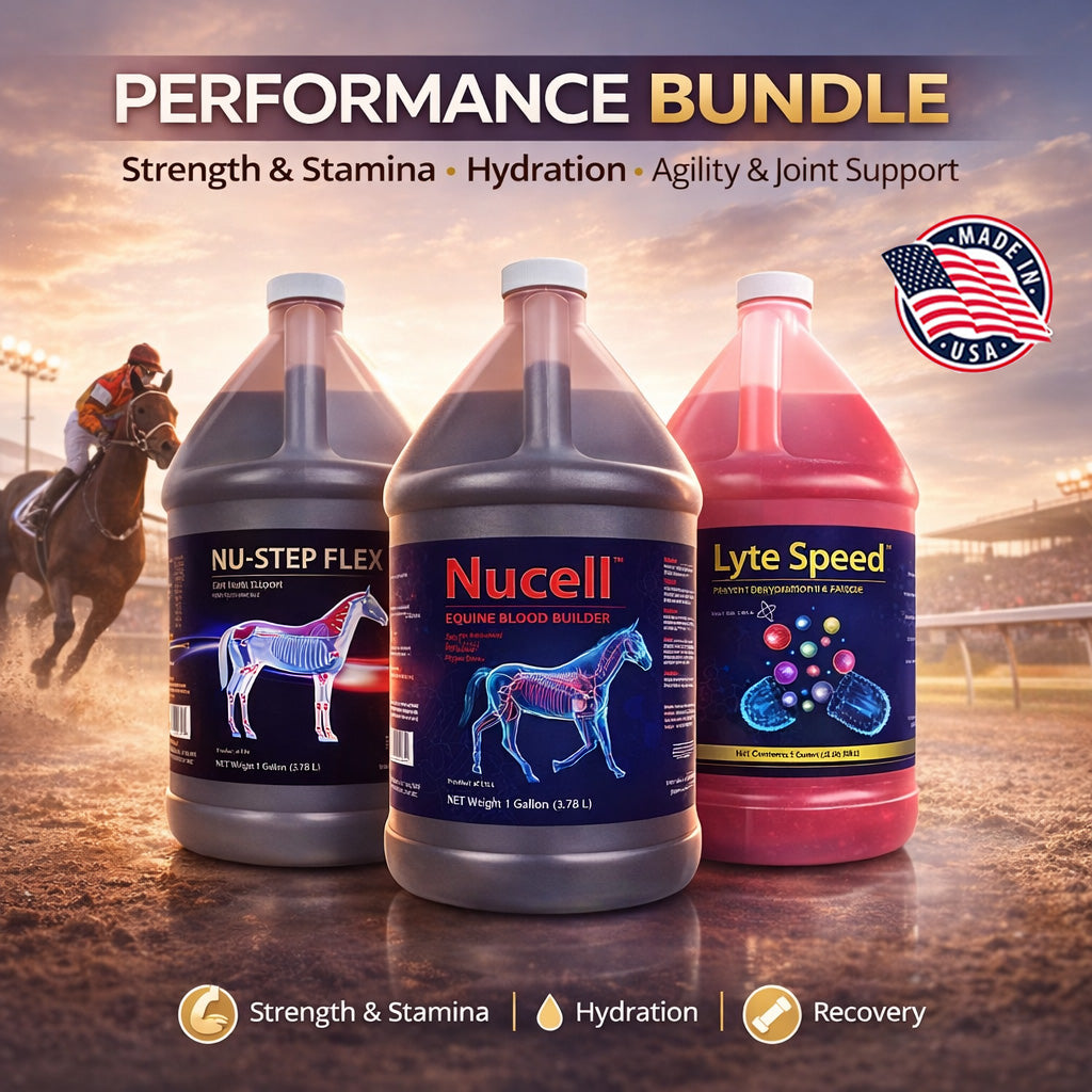 Performance Support Bundle