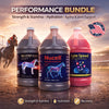 Performance Support Bundle