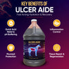 Nutra Cell Ulcer Aide infographic highlighting key benefits: acid relief, mucosal protection, and gut support in horses.