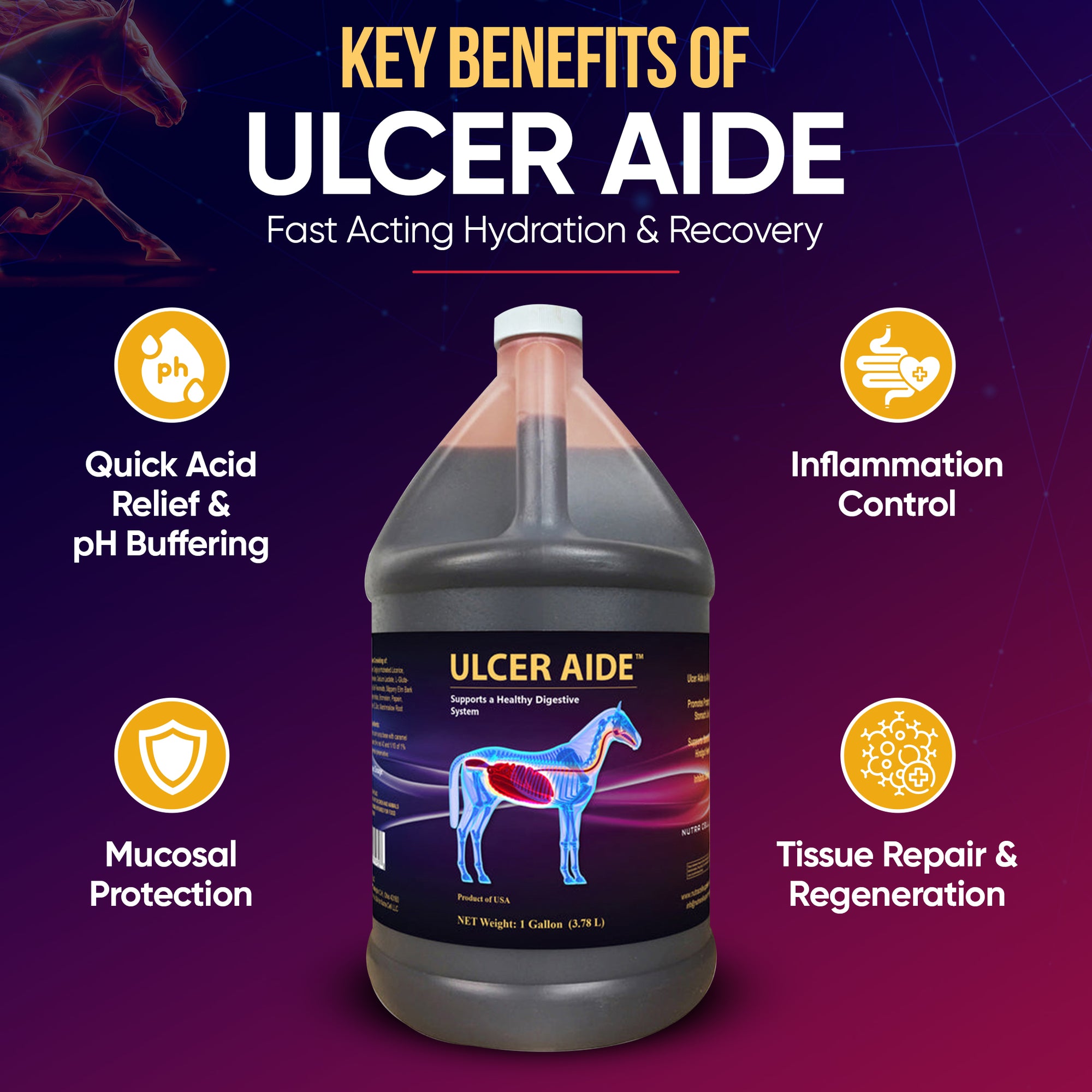 Nutra Cell Ulcer Aide infographic highlighting key benefits: acid relief, mucosal protection, and gut support in horses.