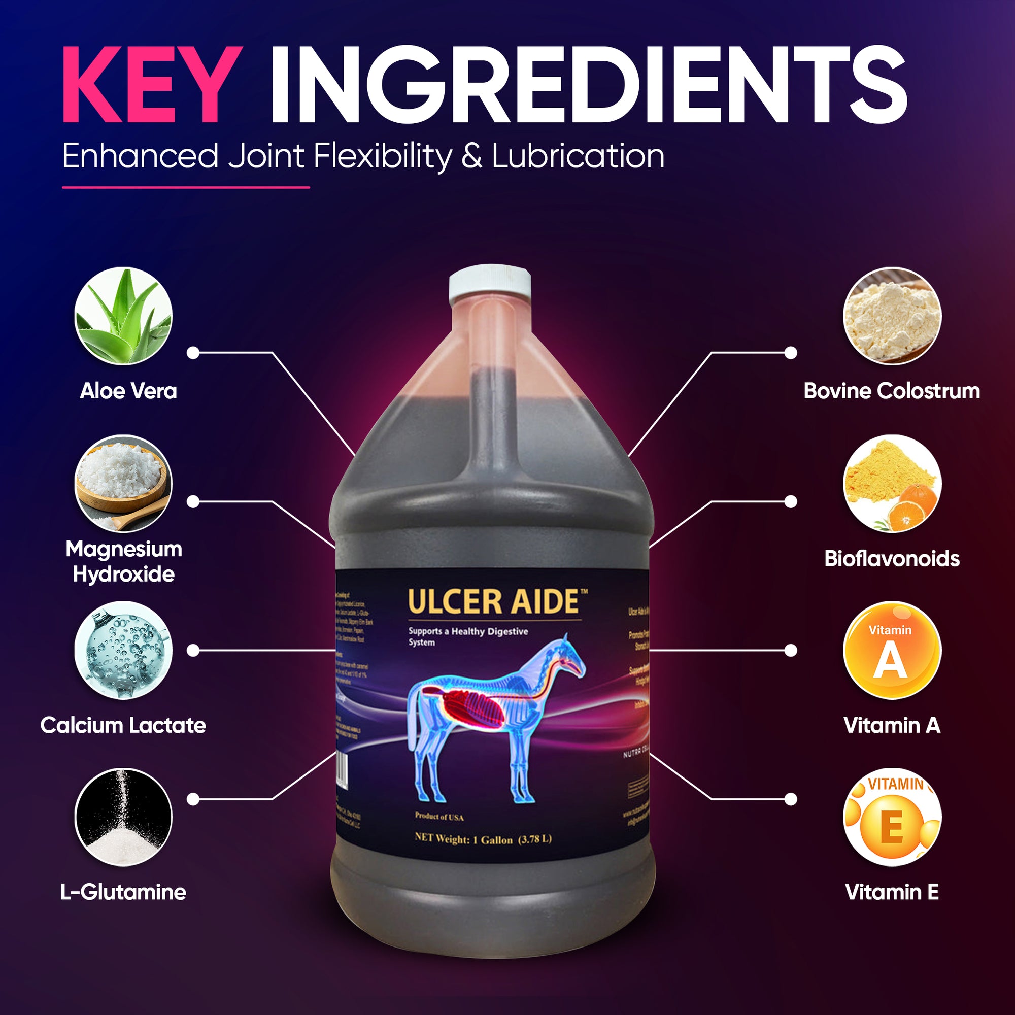 Nutra Cell Ulcer Aide infographic highlighting ingredients that soothe stomach lining, promote digestive balance, and reduce ulcer risk in horses.