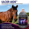 Horse next to a bottle of Ulcer Aide with product details on a blue background