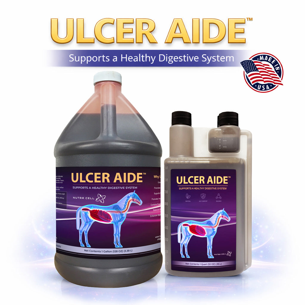 Ulcer Aide™