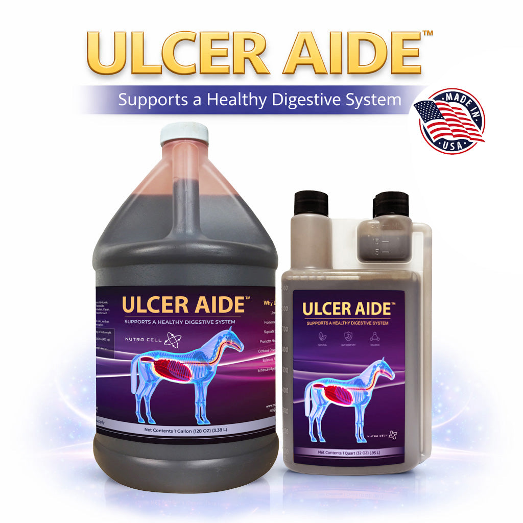 Ulcer Aide™