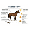 Nu-Step Flex